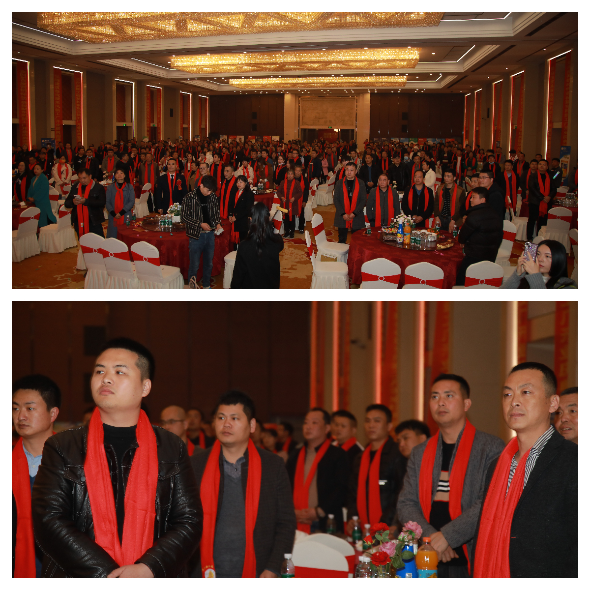 湖南聚東鳳涂料科技有限公司,湖南防水品牌,懷化防水廠家,懷化防水涂料批發